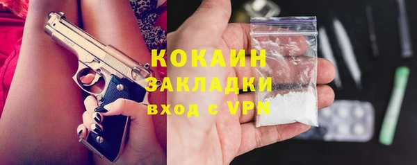 дживик Шадринск