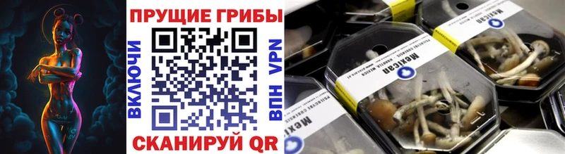 Псилоцибиновые грибы Psilocybe  Староминская 